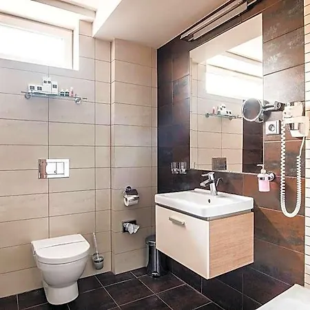 Deluxe With Free Wellness And Fitness Centrum