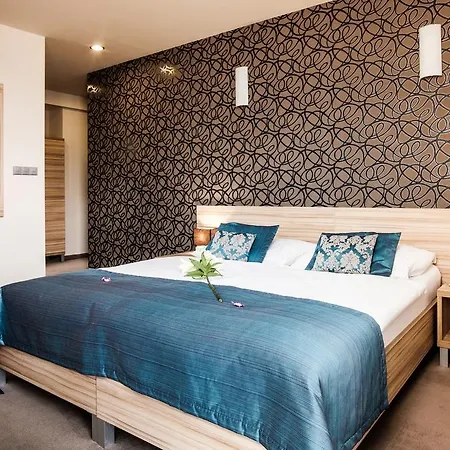 Hotel Deluxe With Free Wellness And Fitness Centrum