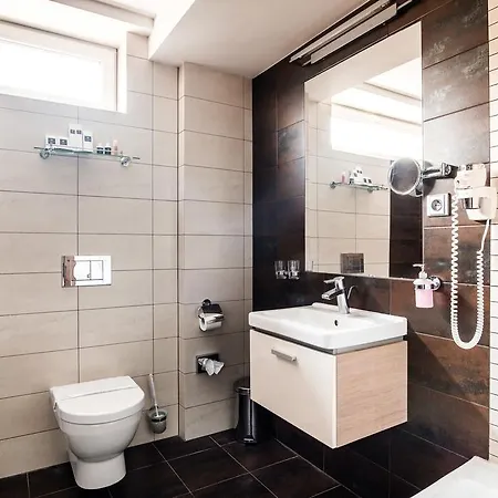 Deluxe With Free Wellness And Fitness Centrum